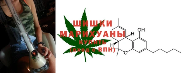 ECSTASY Ельня