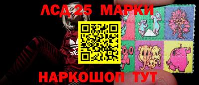 гашик Будённовск