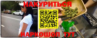 гашик Будённовск