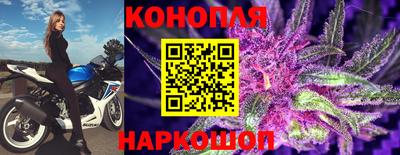 гашик Будённовск