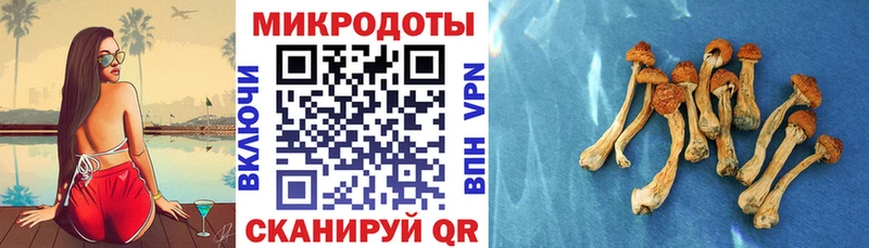 гидра tor  Краснодар  Псилоцибиновые грибы MAGIC MUSHROOMS  магазин продажи наркотиков 