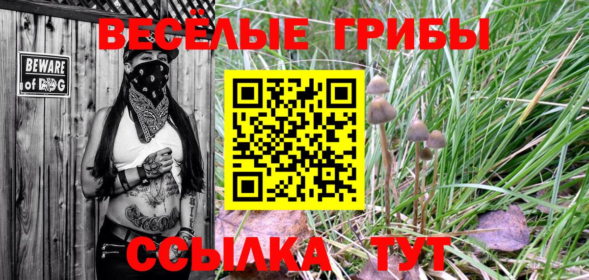 Краснодар  Галлюциногенные грибы Psilocybe  Вход с VPN 